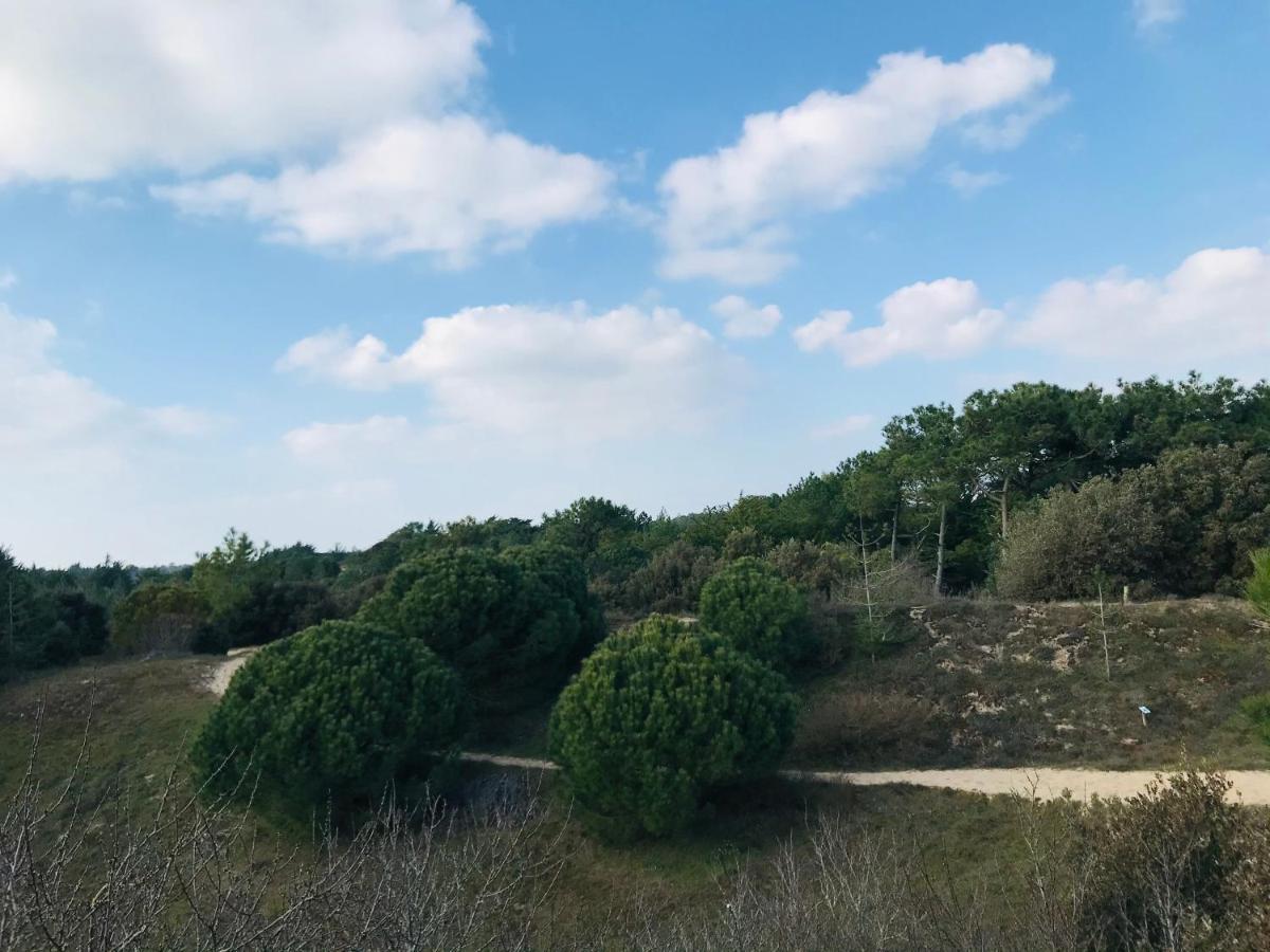 Maison Forêt Et Piscine, Les Mas De Vertmarines *